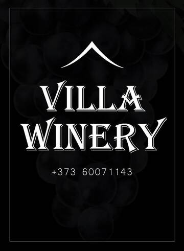 Фото Мини-отель Villa Winery г. Cricova 2